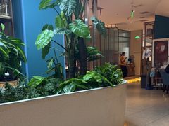-悦海·家宴·冰花皮皮虾大锅贴(宝龙店)