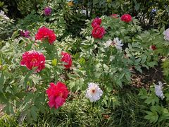 -狼山风景名胜区