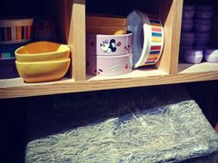-宠物兔专门店(天丰利市场店)
