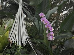 -石家庄市植物园