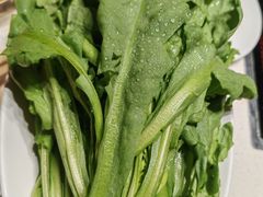 -蝎王府羊蝎子(北大地店)