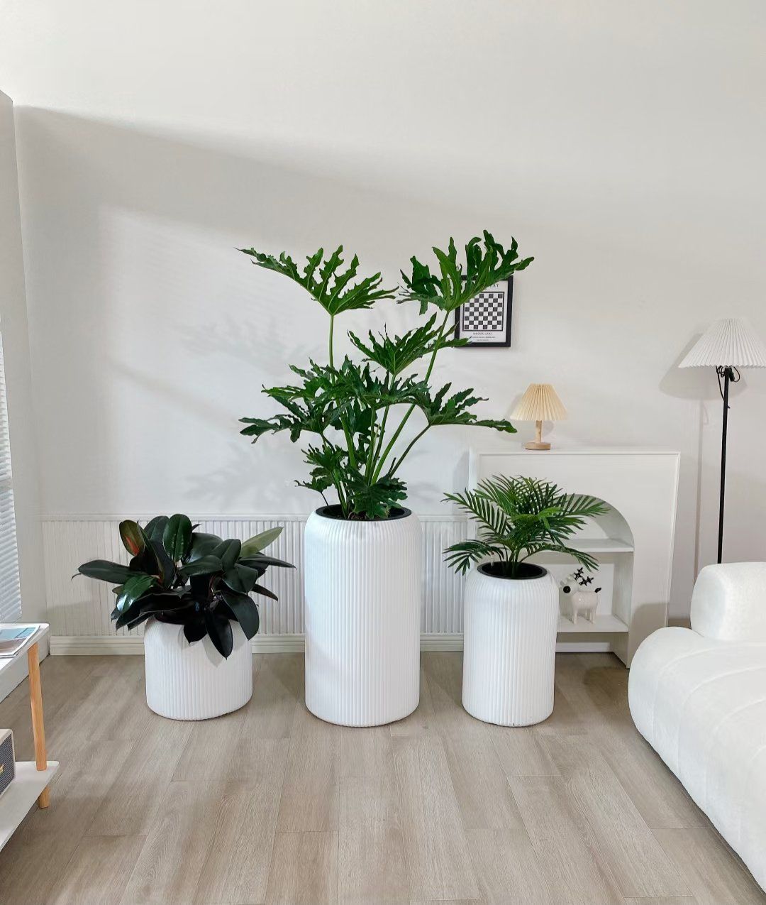 鲜花绿植租赁批发  办公室绿植租赁租摆  植物出租