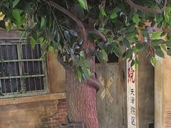 -天堂疯人院·沉浸式实景演绎密室