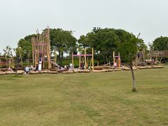 -春花秋色城市公园
