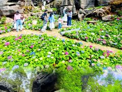 -梭布垭石林景区