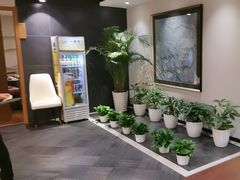 -黑松白鹿(金融街店)
