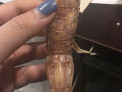 -大锅强·蒸海鲜青岛菜(吾悦广场店)