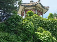 -国家植物园南园