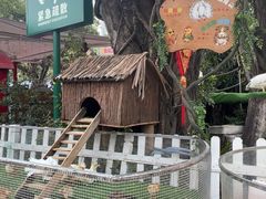 -广州长隆国际大马戏