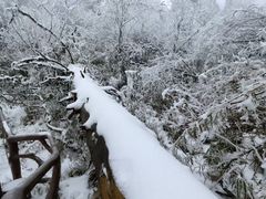 -瓦屋山景区