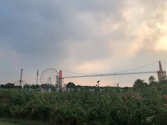 -花博汇(知音花月夜)