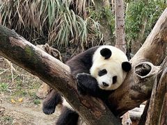 -宁波野生动物园