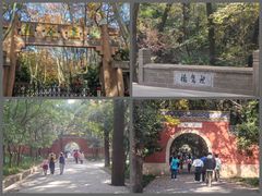 -灵谷景区