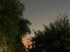 -深圳湾公园(南山区)