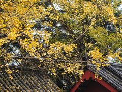 -金堂县云顶石城风景区