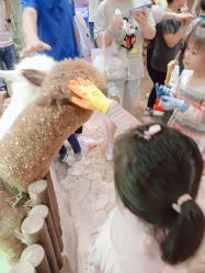 -宝燕乐园(闵行旗舰店)