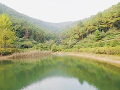 -苏州环秀晓筑养生度假村