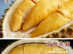 -MUSANG KING猫山王(龙湖杭州滨江天街店)