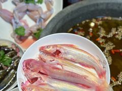 -石锅苗苗鱼(武汉首店)