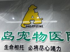 -半岛宠物医院24小时(白果林店)