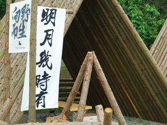-长沙黑麋峰国家森林公园