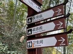 -仙霞关景区