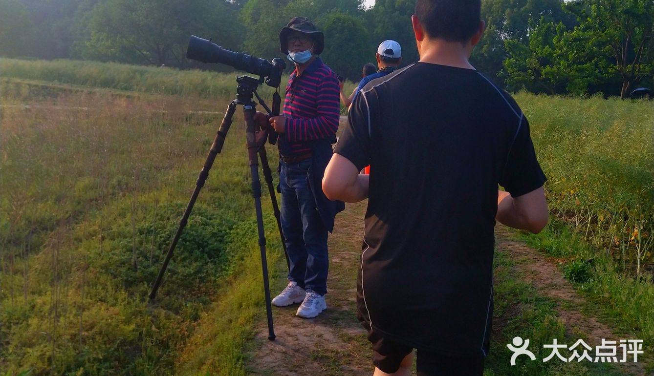 辣椒，还有刚开敗的油菜花。过来