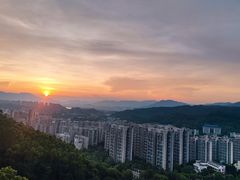 -福道