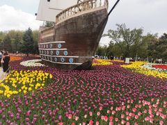 -长春公园(普阳街道)