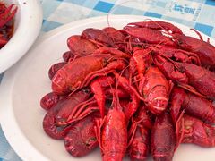 -虾皇(龙虾城旗舰店)