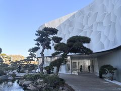 -罗红摄影艺术馆