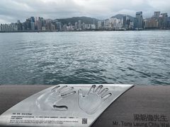 -星光大道