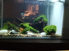 -West10 西拾·西餐厅·创意菜(未来科技城店)