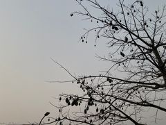 -深圳湾公园(南山区)