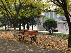 -陕西师范大学(雁塔校区)