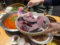 -老凯俚酸汤鱼(多彩城店)