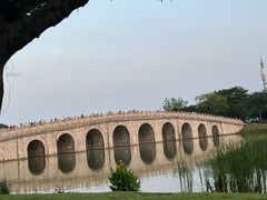 -顺峰山公园