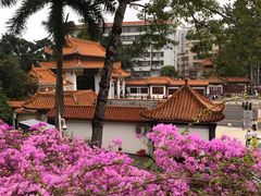 -深圳仙湖植物园-停车场