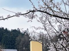 -山王坪喀斯特国家生态公园