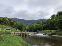 -广州市石门国家森林公园