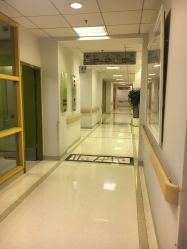 -北京新世纪儿童医院