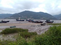 -北岐滩涂