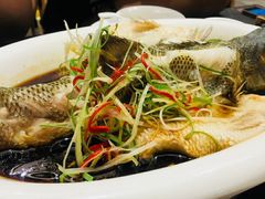 -东哥紫阳蒸盆子(旺座·现代城店)