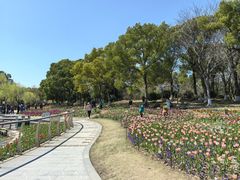 -上海鲜花港