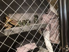 -变形金刚3D对决之终极战斗
