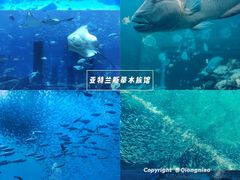 -三亚蜈支洲岛旅游区