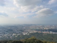 -紫金山山顶公园