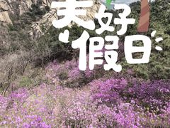-青岛大珠山景区