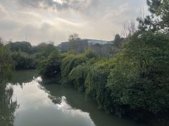 -八大山人梅湖景区
