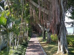 景点-白鹭洲公园